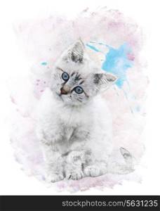 Watercolor Digital Painting Of White Kitten