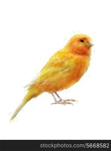 Watercolor Digital Painting Of Yellow Bird