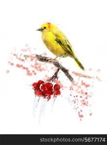Watercolor Digital Painting Of Yellow Bird And Berries