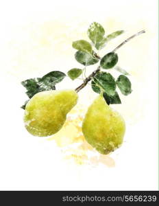 Watercolor Digital Painting Of Yellow Pears