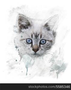 Watercolor Digital Painting Of Young Cat