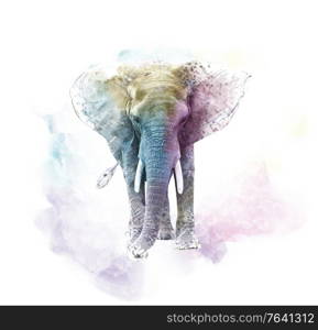 Watercolor Elephant. Digital illustration on white background.