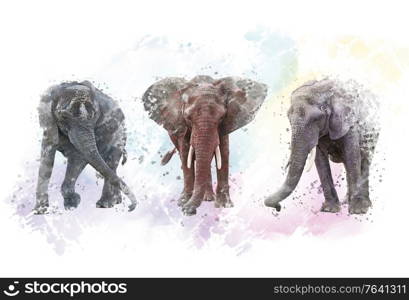 Watercolor Elephants. Digital illustration on white background.