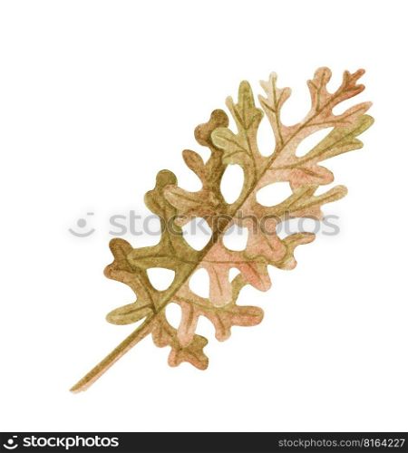 Watercolor exotic dry twig with gold textures. Hand painted boho leaves isolated on white background. Floral illustration for design, print, fabric or background.. Watercolor exotic dry twig with gold textures. Hand painted boho leaves isolated on white background.