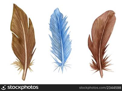 Watercolor feather set. Hand drawn bird feathers clipart. Watercolor feather set. Hand drawn bird feathers clipart.