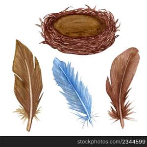 Watercolor feather set. Hand drawn bird nestand feathers clipart.. Watercolor feather set. Hand drawn bird nestand feathers clipart