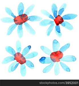 Watercolor flowers isolated over the white background