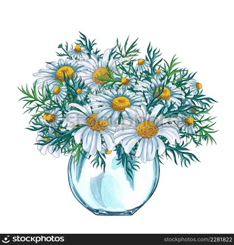 Watercolor glass vase with flower bouquet inside, hand drawn isolated on a white background. Watercolor illustration of jar with bouquet of chamomile flowers. Summer wildflowers bouquet. Watercolor glass vase with chamomile flowers bouquet inside, hand drawn isolated on a white background