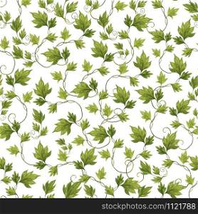 Watercolor grape leaves in a pattern on a white background. Seamless illustration for the design of notebooks, home decor, napkins. Green climbing plants.