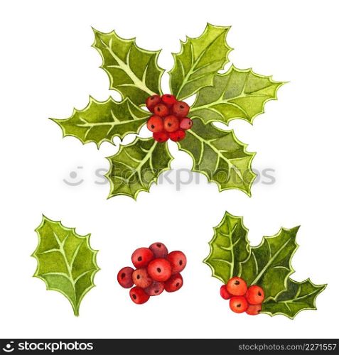 Watercolor hand drawn Christmas and New Year symbol decorative elements. Holly twig set with leaves and red berry. 