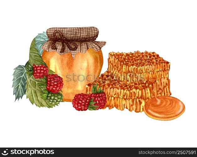 Watercolor honey jar and fresh forest raspberry berries, honeycomb. Hand drawn organic food illustration isolated on white background. Raspberry honey