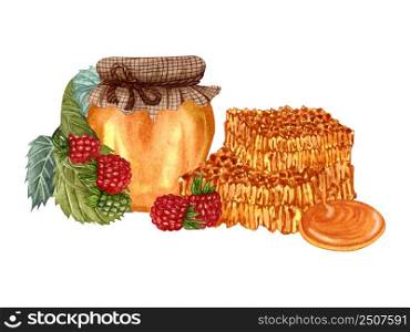 Watercolor honey jar and fresh forest raspberry berries, honeycomb. Hand drawn organic food illustration isolated on white background. Raspberry honey