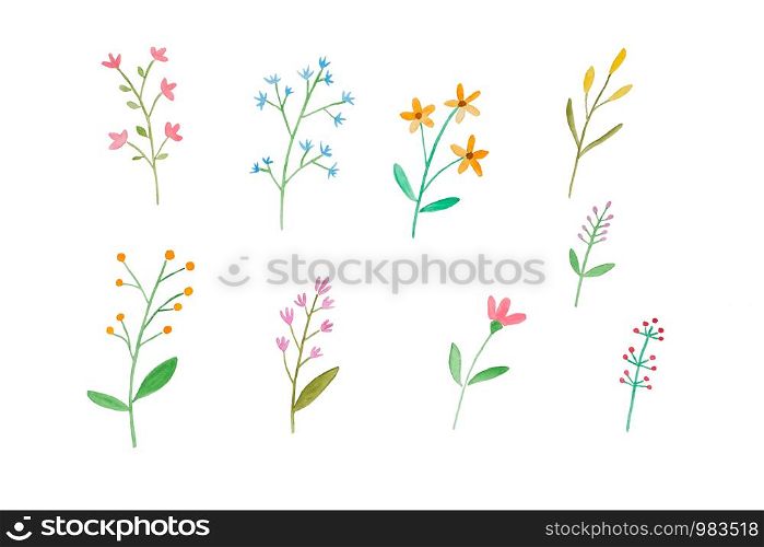 Watercolor illustration art design, Set of colorful flowers in watercolor hand pianting style isolated on white background, pattern element for invitation greeting card