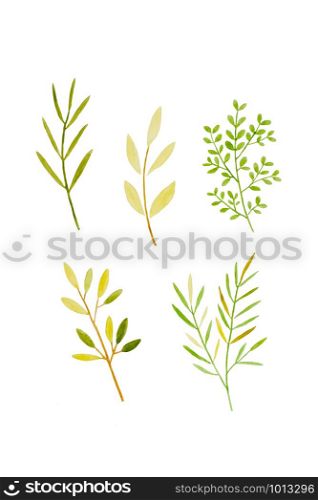 Watercolor illustration art design, Set of spring green tree leaves in watercolor hand pianting style isolated on white background, pattern element for invitation greeting card