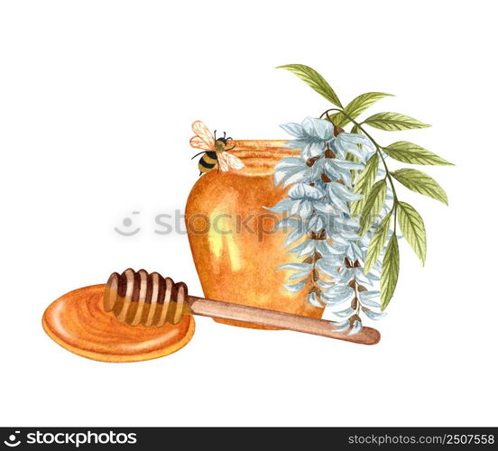 Watercolor illustration of acacia honey on white background. Hand drawn set white acacia/wisteria flower, bee, honey jar and barrel.