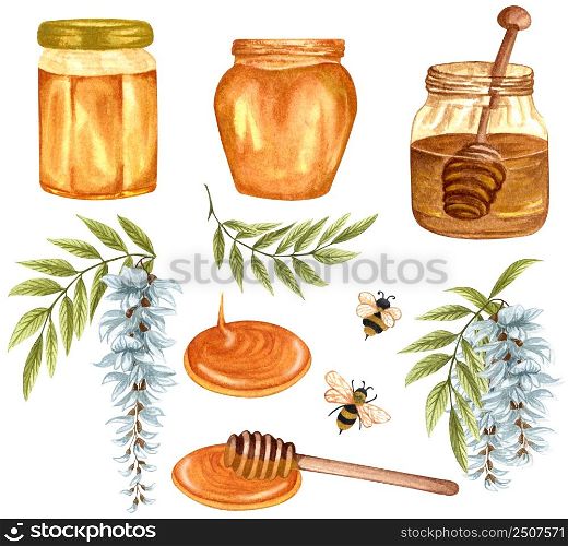 Watercolor illustration of acacia honey on white background. Hand drawn set white acacia/wisteria flower, bees, honey jar and barrel.