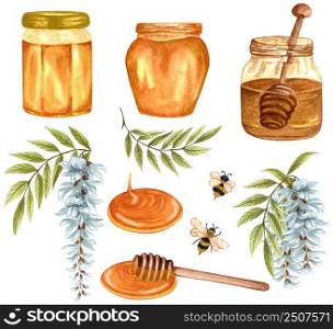 Watercolor illustration of acacia honey on white background. Hand drawn set white acacia/wisteria flower, bees, honey jar and barrel.