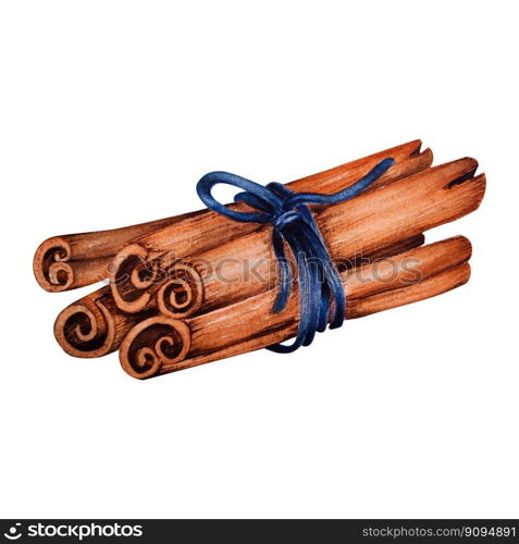 Watercolor Illustration of Bunch of Cinnamon tied with blue rope
