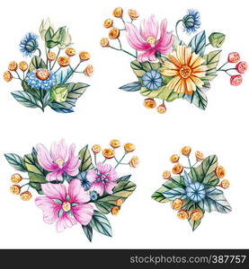 Watercolor illustration with bouquets of wildflowers for a wedding. Floral card with pink mallow flowers, yellow chamomile, yellow tansy and blue daisy. Autumn, summer and spring seasons.. Watercolor illustration with bouquets of wildflowers.