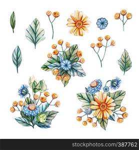 Watercolor illustrations with bouquets of wildflowers for a wedding. Floral card with green leaves, yellow chamomile, yellow tansy and blue chamomile. Autumn, summer and spring seasons.. Watercolor illustrations with bouquets of wildflowers for a wedding.