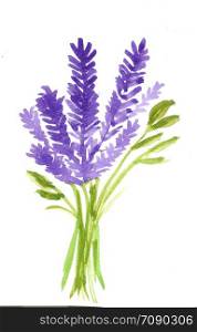 watercolor lavender flower