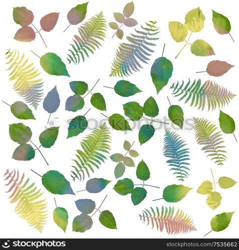 watercolor leaves arrangement on white background