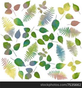 watercolor leaves arrangement on white background
