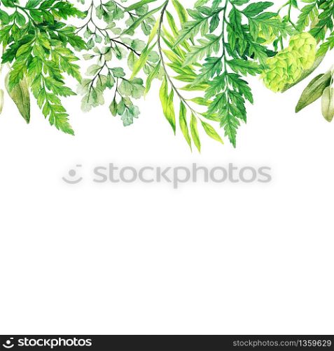 Watercolor leaves, greenery and ferns header, seamless border, hand drawn illustration