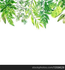 Watercolor leaves, greenery and ferns header, seamless border, hand drawn illustration