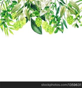 Watercolor leaves, greenery header, seamless border, hand drawn illustration