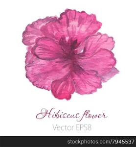 Watercolor painted vector hibiscus. Tropical Flower. Violet vector flower. Watercolor painted vector hibiscus. Tropical Flower. Violet vector flower.