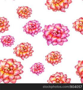 Watercolor painting of flowers, seamless pattern on white background