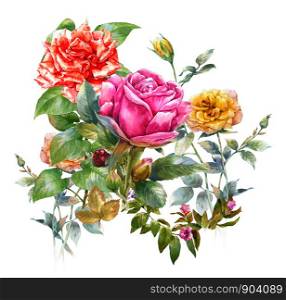 watercolor painting of leaves and flower,rose, on white background
