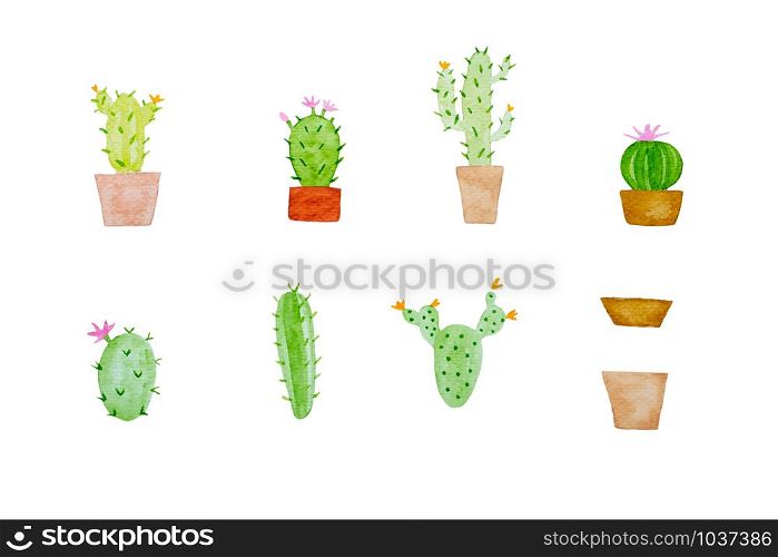 Watercolor painting, set of cactus in watercolor style on white background, art and design