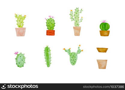 Watercolor painting, set of cactus in watercolor style on white background, art and design