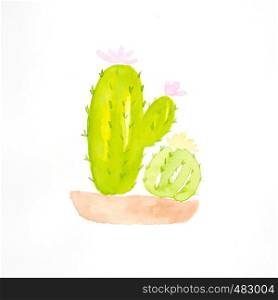 Watercolor painting, set of cactus in watercolor style on white background, art and design