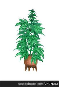 Watercolor potted hemp plant. Cannabis indica tree in a pot, marijuana. Hand drawn illustration of weed on white background.
