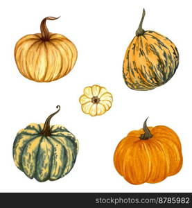 Watercolor pumpkin set. Hand drawn autumn illustration of different pumpkins. Watercolor pumpkin set. Hand drawn autumn illustration of different pumpkins.