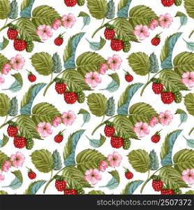Watercolor raspberry seamless pattern on white. Raspberry berries and flowers pattern. Seamless pattern with hand drawn raspberry bush.