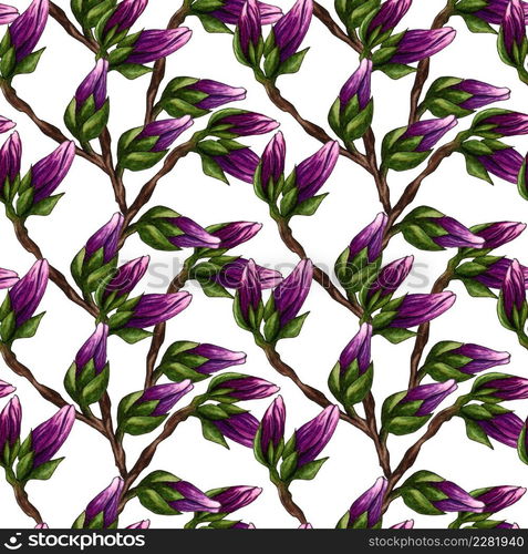 Watercolor seamless pattern of pink Magnolia flowers. Watercolor magnolia hand drawn seamless pattern on white background. Botanical flowers elements for your design. Magnolia Branch with flowers and leaves.