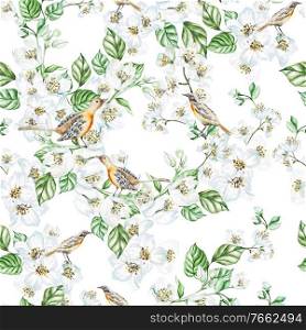 Watercolor seamless pattern with  jasmine flowers, birds.  Illustration. Watercolor seamless pattern with  jasmine flowers, birds. 