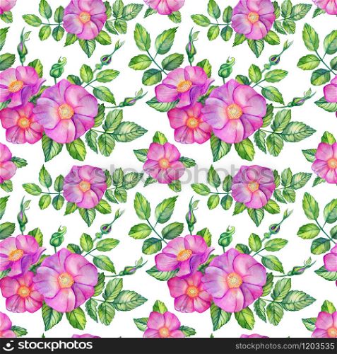 Watercolor seamless pattern with rose hips. Pink flowers, leaves, buds, bouquets on a white background. Spring design for wedding invitations. Rosa canina, rosehip, rose.. Watercolor seamless pattern with rose hips.