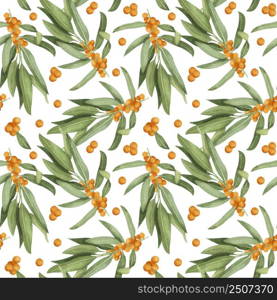 Watercolor seamless pattern with sea buckthorn berries and leaves. Honey herb repeten pattern on white backgroun.