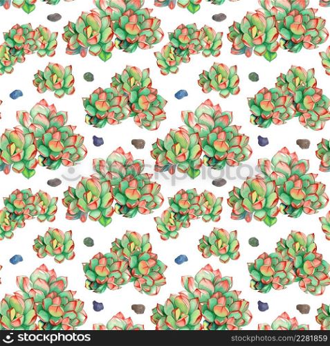 Watercolor seamless pattern with succulents plants and pebble stones. Hand drawn pattern with cacti. Perfect for greeting card, textile, wallpaper, pattern, texture, cover.