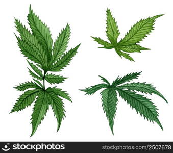 Watercolor set of different green cannabis leaves on white background. Hand drawn illustration.