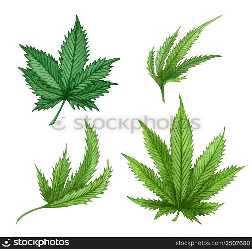 Watercolor set of different green cannabis leaves on white background. Hand drawn illustration.