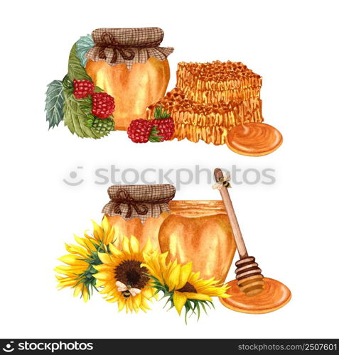 Watercolor set of different honey. Honey jar with sunflower, acacia, linden, raspberry. Hand drawn illustration of organic natural food.