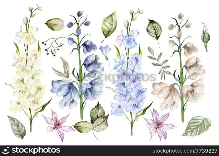 Watercolor set with different wild flowers leaves.. Watercolor set with different wild flowers leaves. Illustration