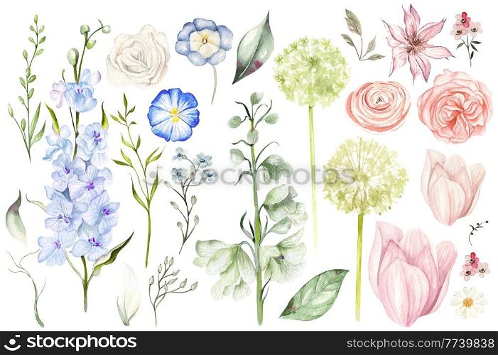 Watercolor set with different wild flowers leaves.. Watercolor set with different wild flowers leaves. Illustration