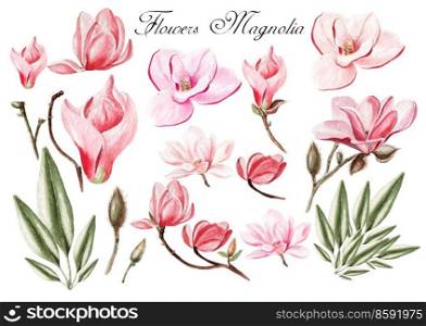 Watercolor set with flowers and leaves of magnolia . illustrations. Watercolor set with flowers and leaves of magnolia. 